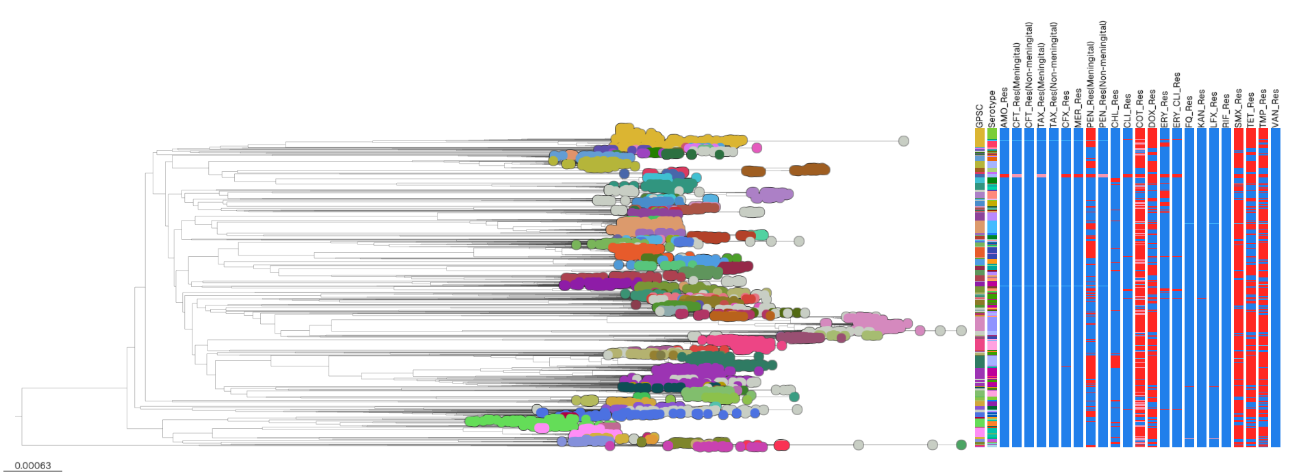 Data curation and automation workflow